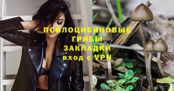 ALPHA PVP Михайлов