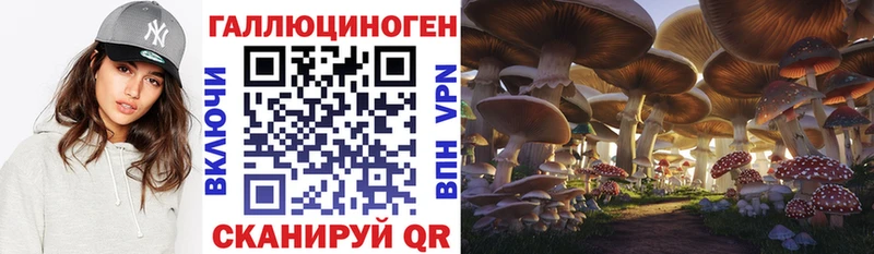 купить  цена  Холмск  Галлюциногенные грибы GOLDEN TEACHER 