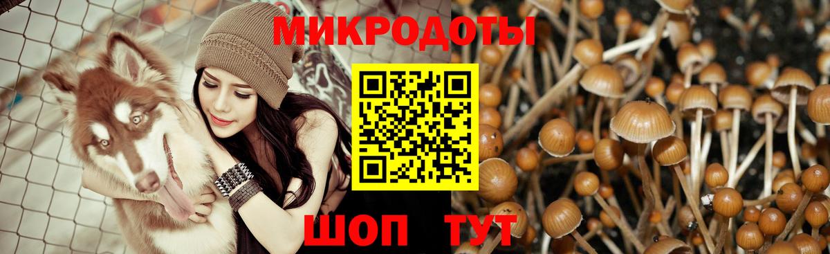 Псилоцибиновые грибы прущие грибы  Вход с VPN  Холмск 
